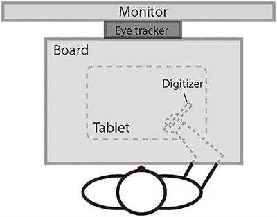 Age-related decline of online visuomotor adaptation: a combined effect of deteriorations of motor anticipation and execution